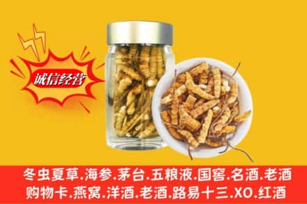 遵义市赤水回收散虫草