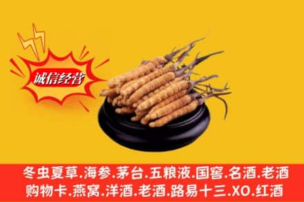 遵义市赤水求购回收虫草多少钱每克